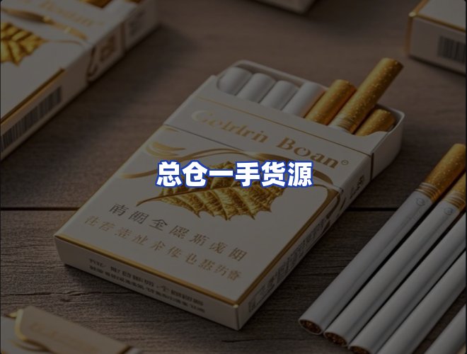专业团队